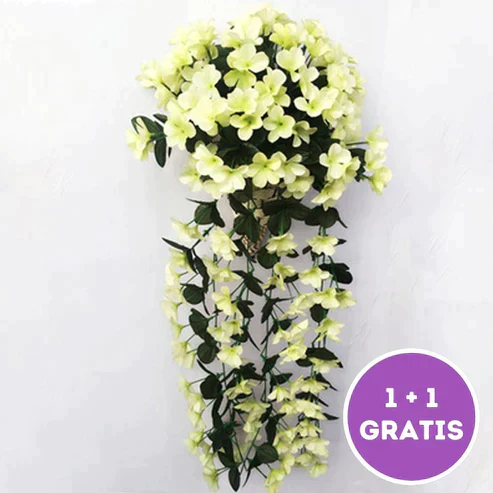 Productafbeelding 10