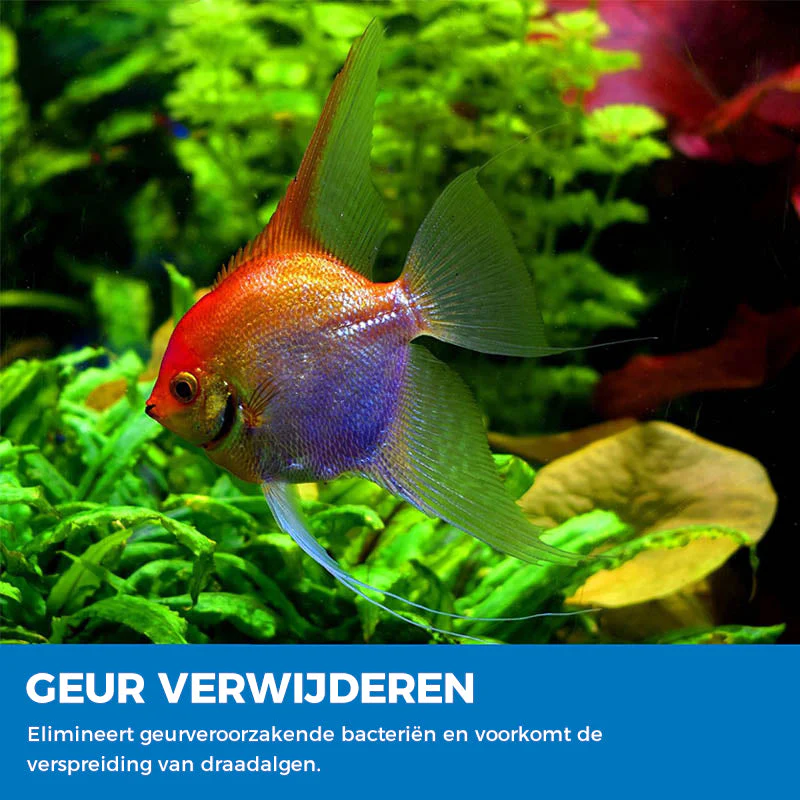 Productafbeelding 6
