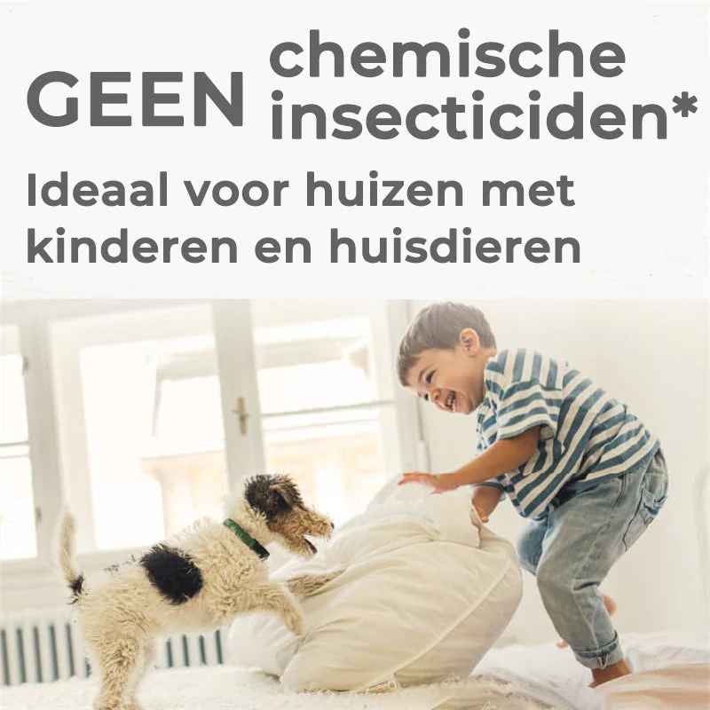 Productafbeelding 2
