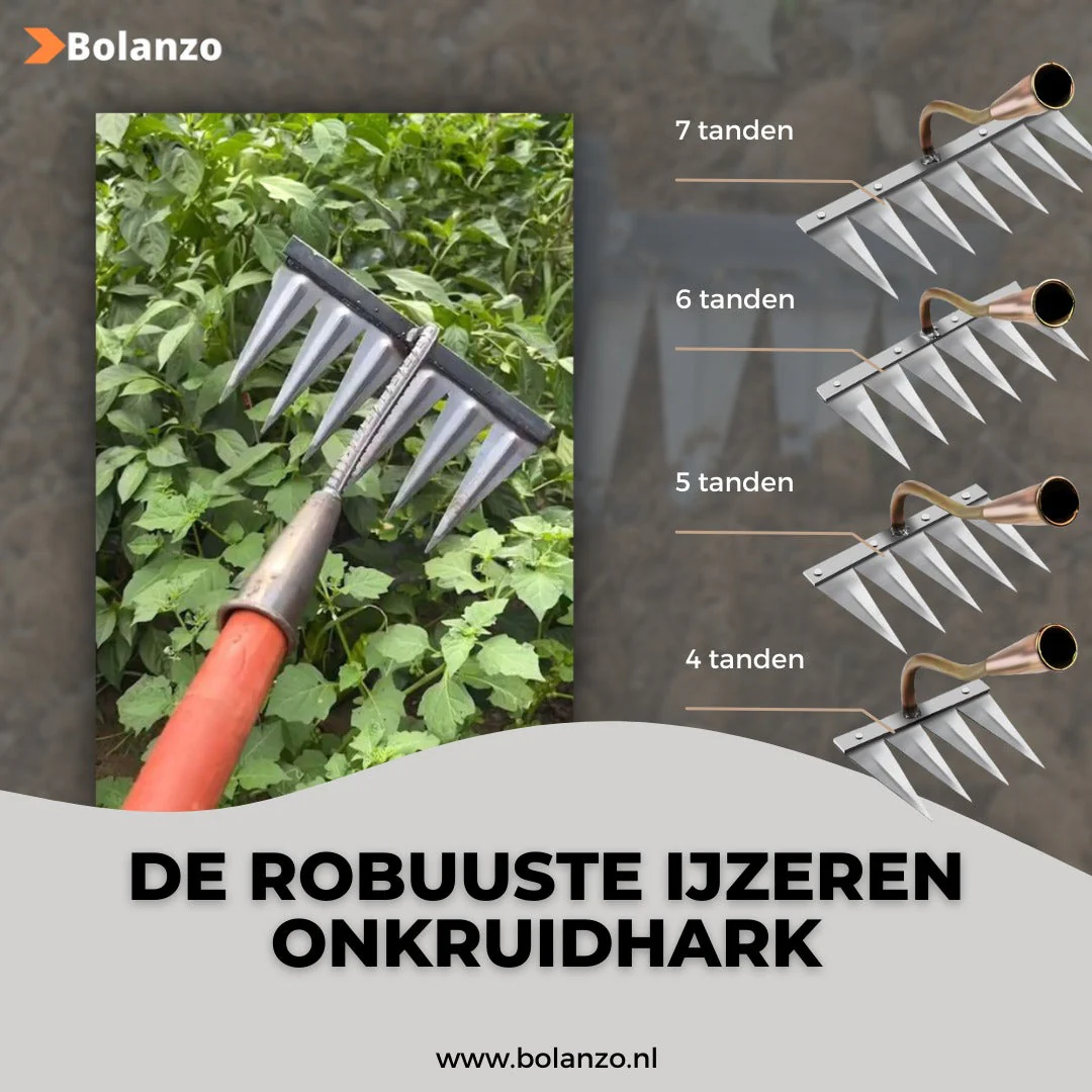 Productafbeelding 17