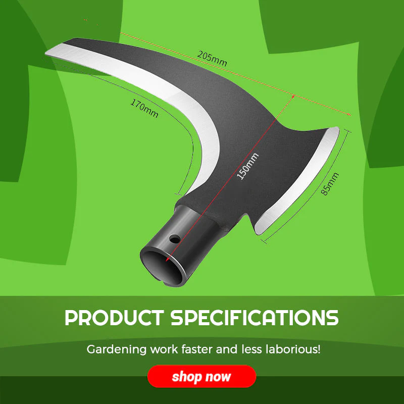 Productafbeelding 8