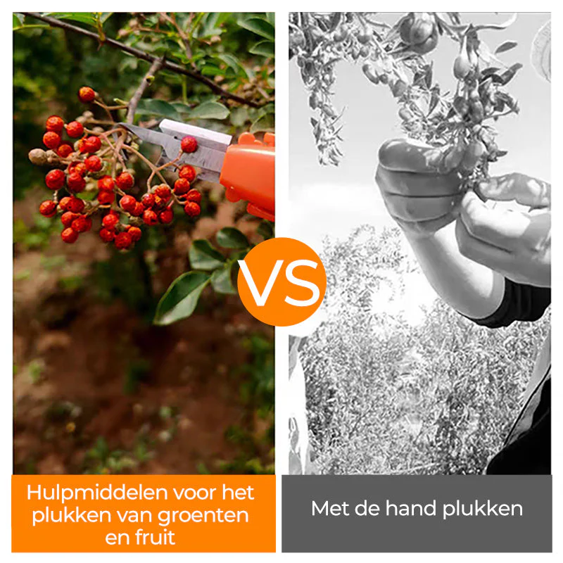 Productafbeelding 4