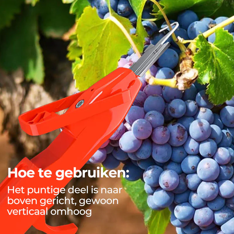 Productafbeelding 8
