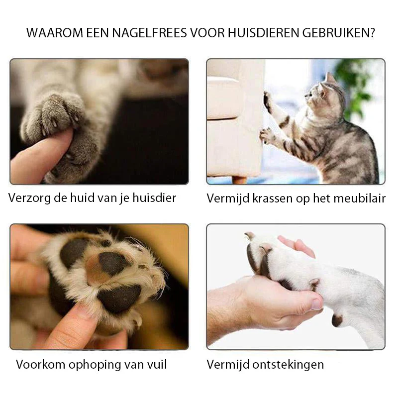 Productafbeelding 5