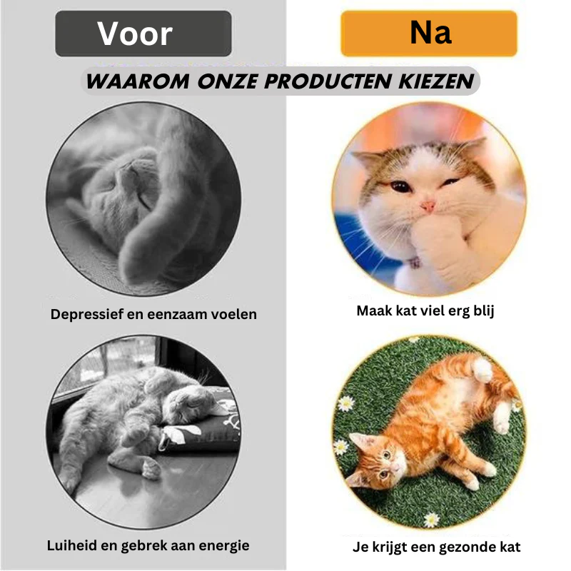 Productafbeelding 9