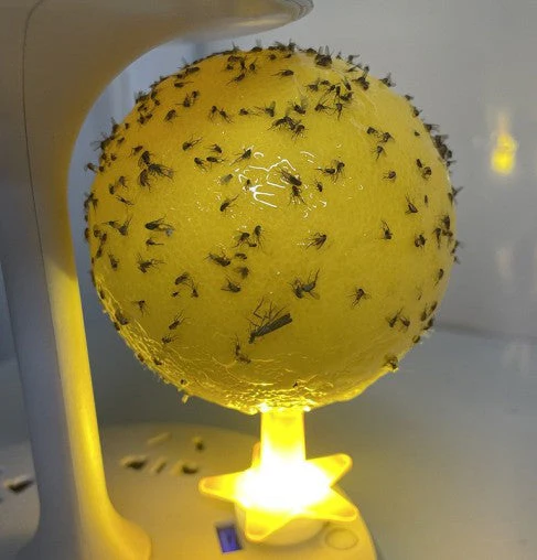 Productafbeelding 8