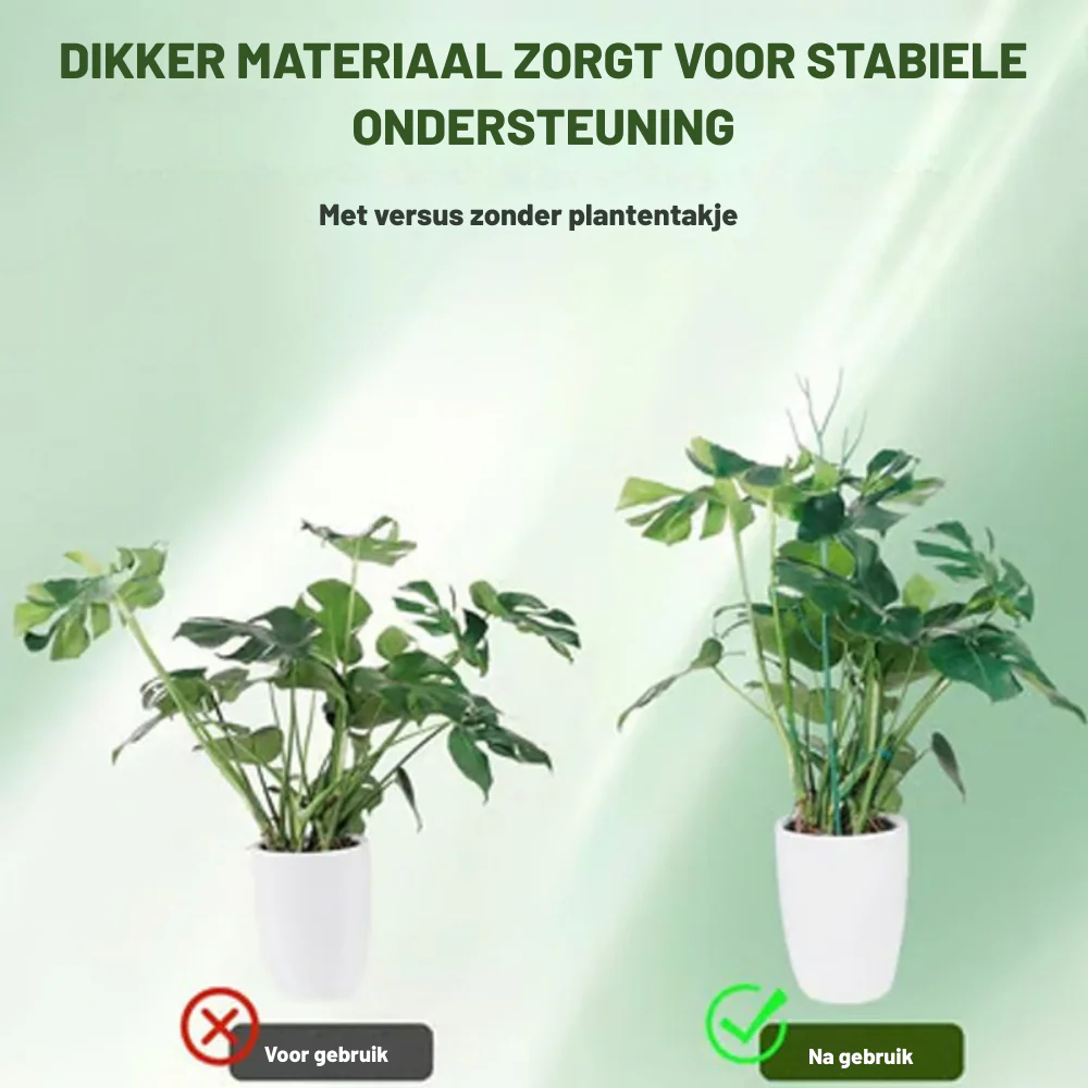 Productafbeelding 4