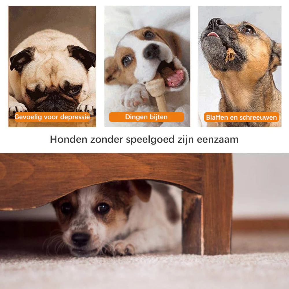 Productafbeelding 6