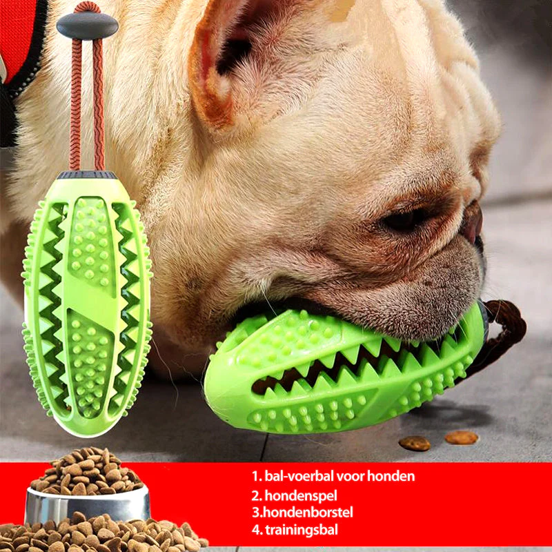 Miniatuur 2