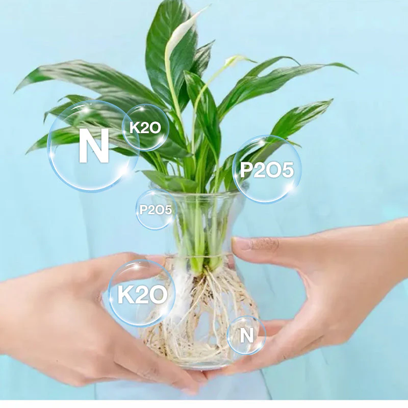 Productafbeelding 3