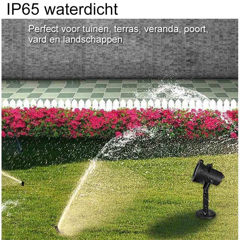 Productafbeelding 6