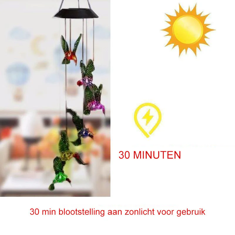Productafbeelding 10