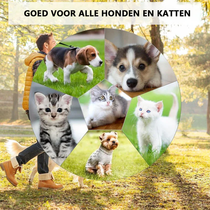 Productafbeelding 6