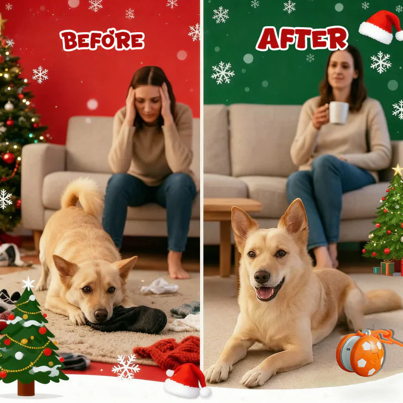 Productafbeelding 5