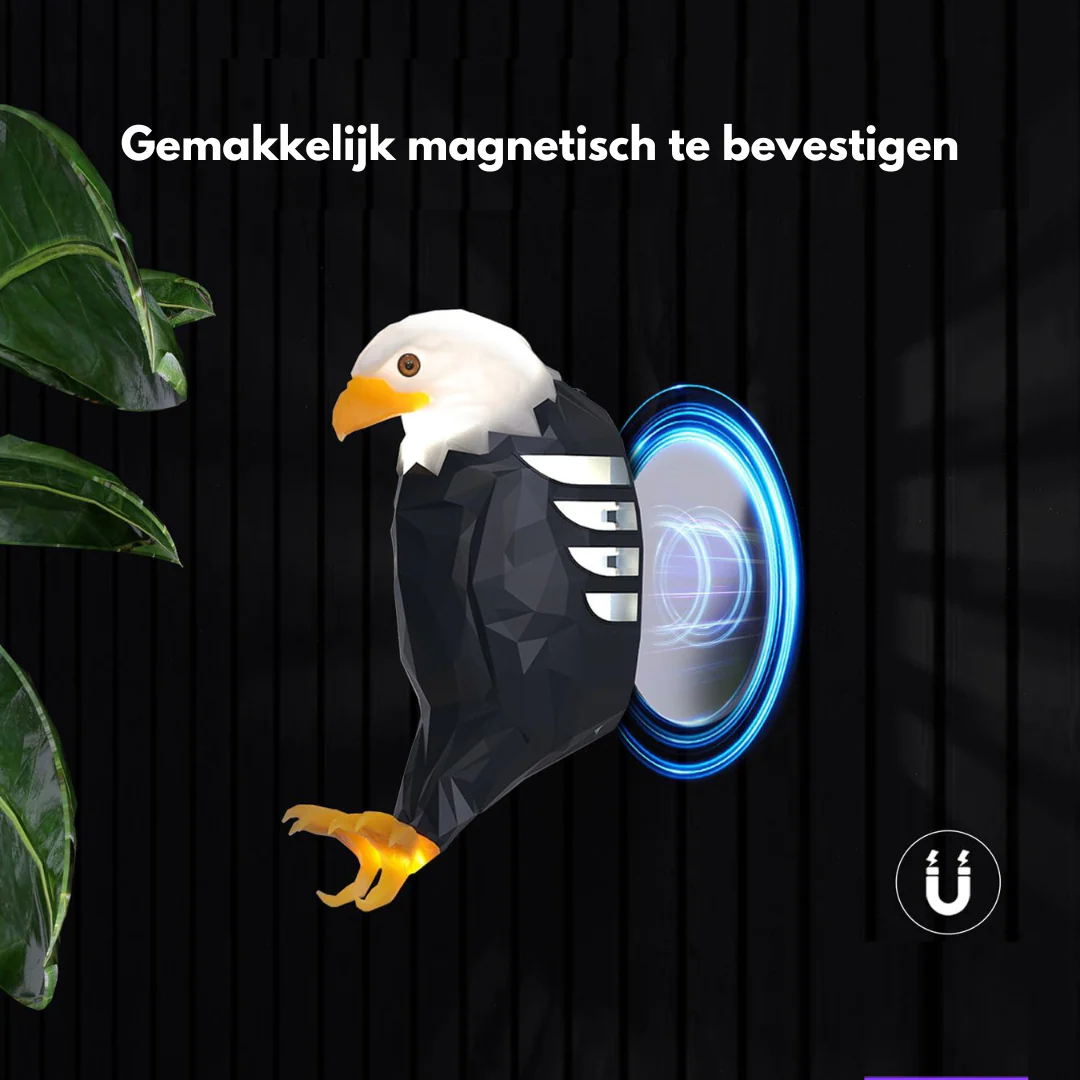 Productafbeelding 5