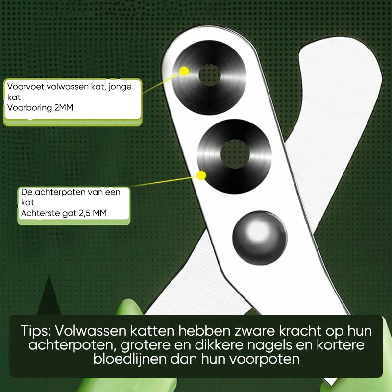 Productafbeelding 4