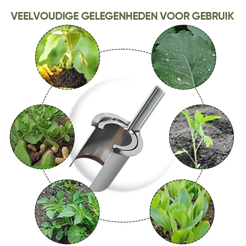 Productafbeelding 10
