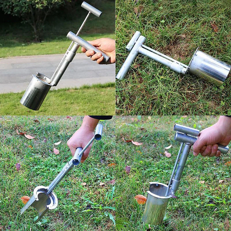 Miniatuur 2