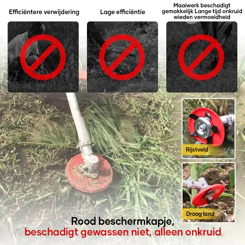 Productafbeelding 4