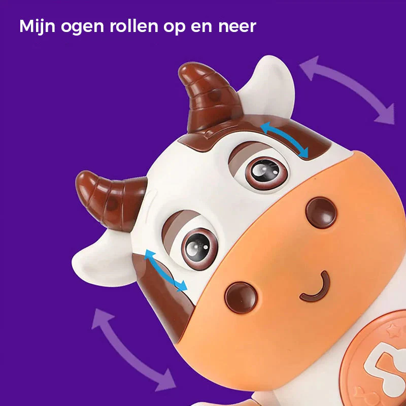 Productafbeelding 6