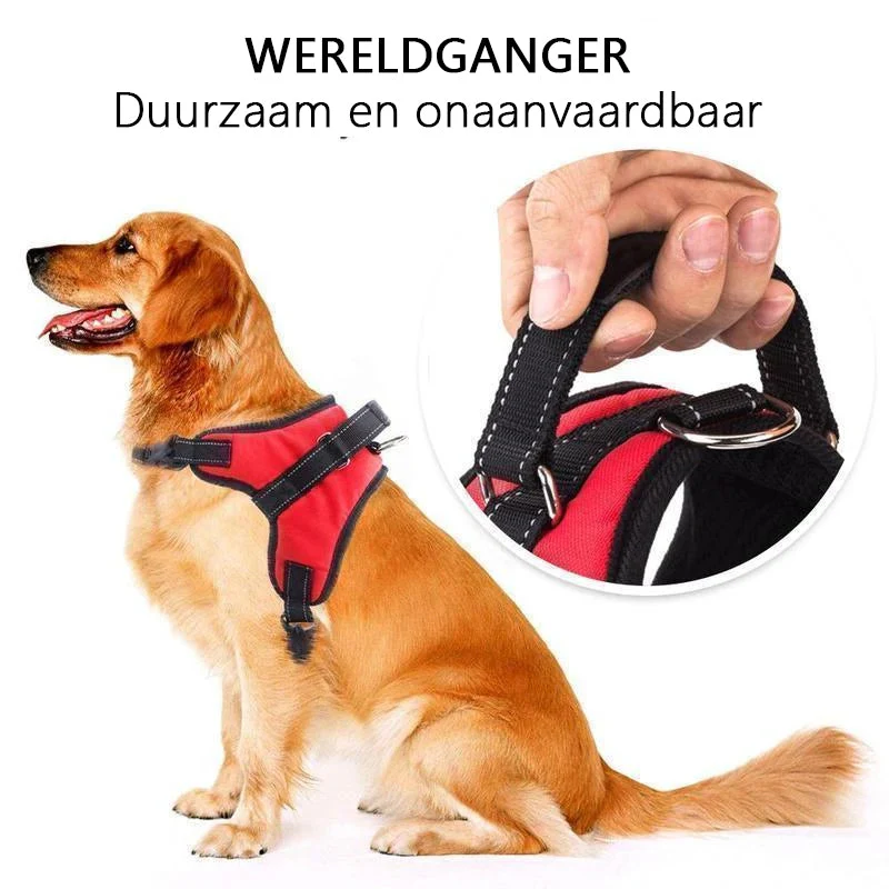Productafbeelding 5