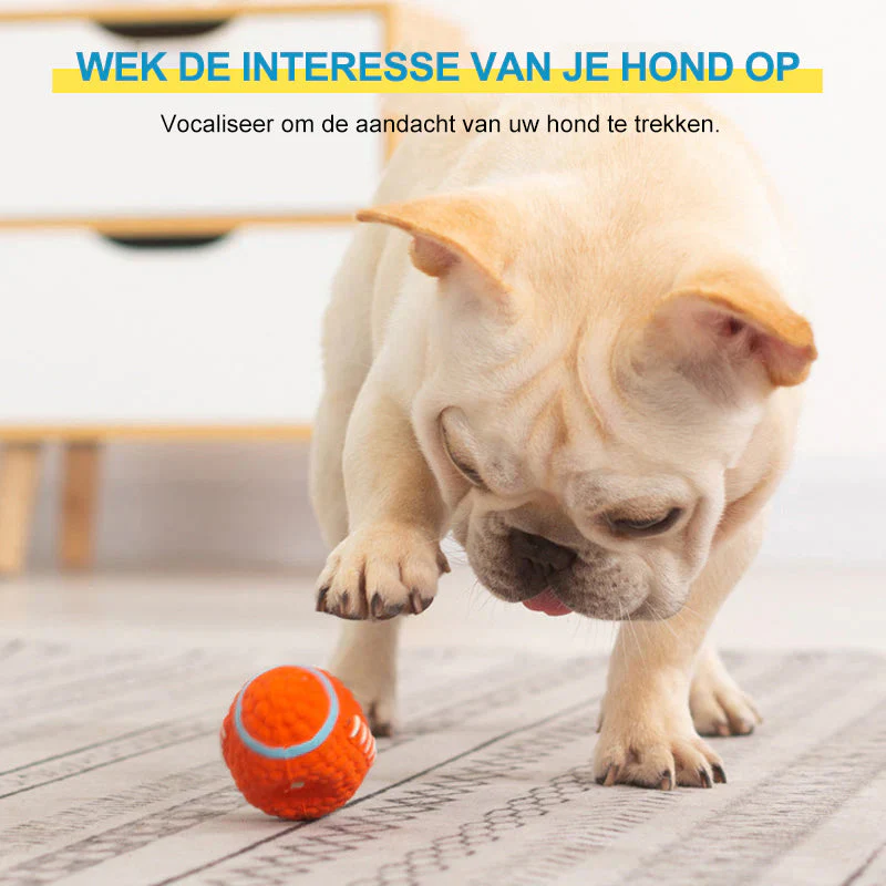 Productafbeelding 12