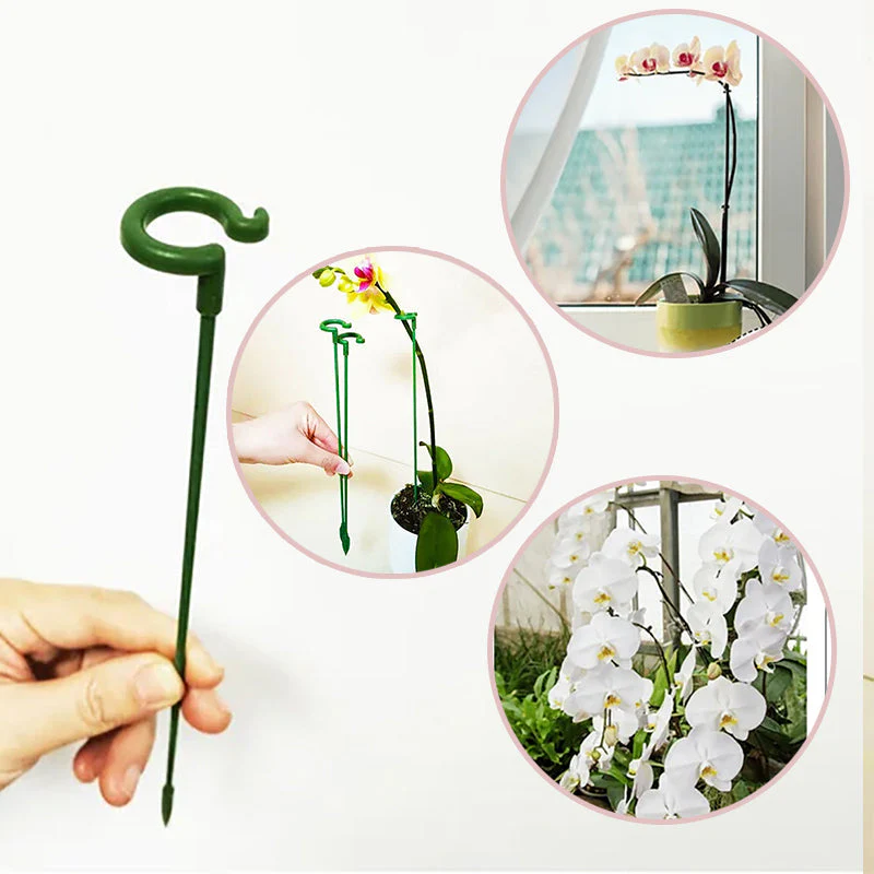 Miniatuur 2