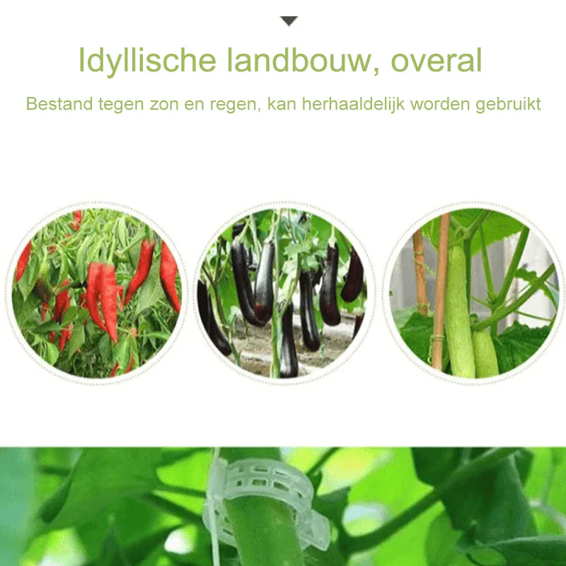 Productafbeelding 5