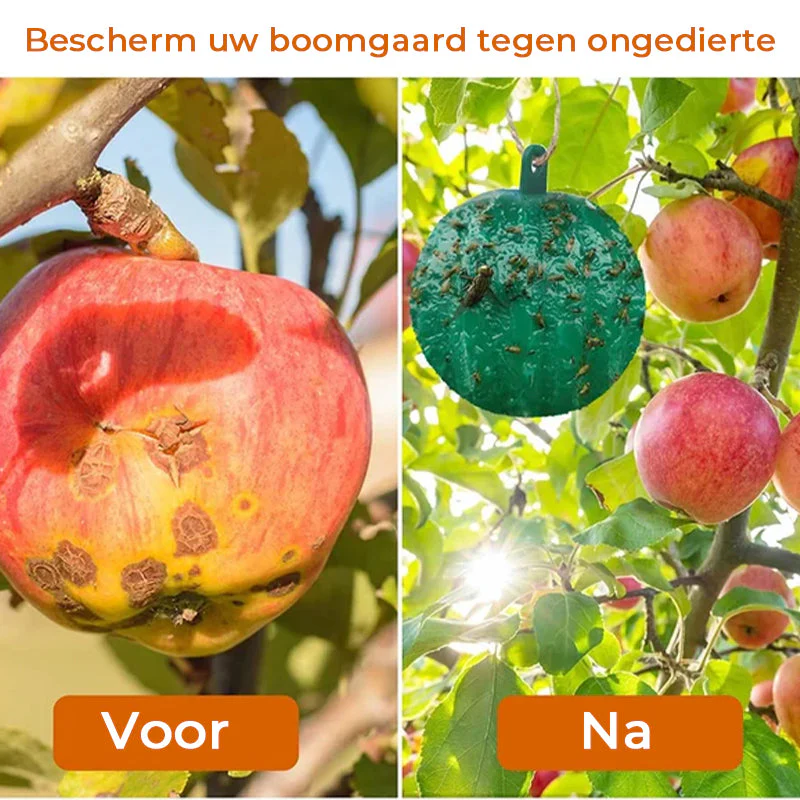 Productafbeelding 15