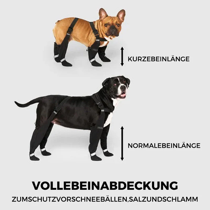 Productafbeelding 10