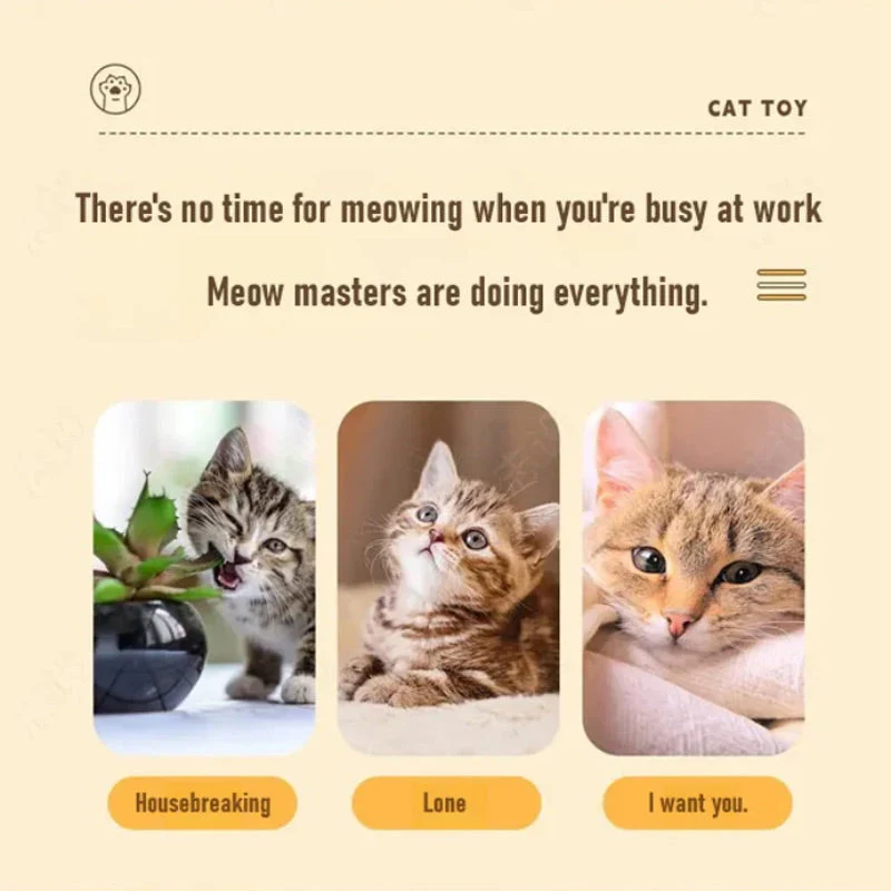 Productafbeelding 7