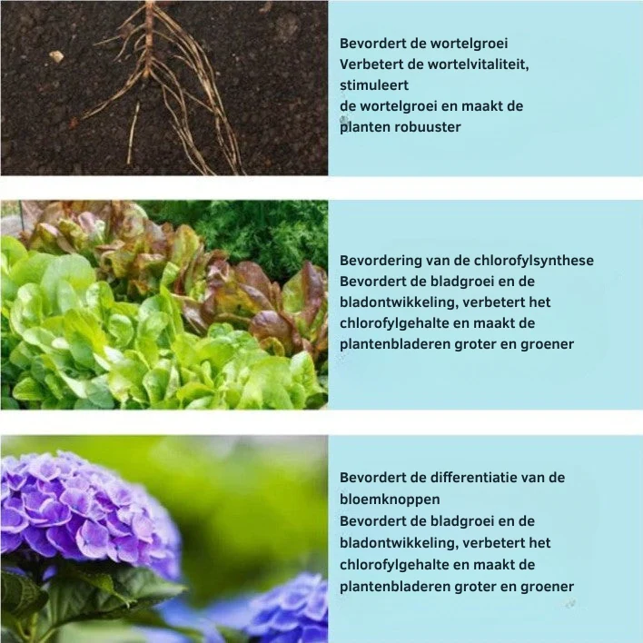 Productafbeelding 6