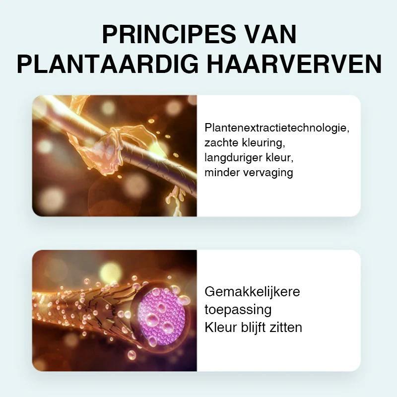 Productafbeelding 3