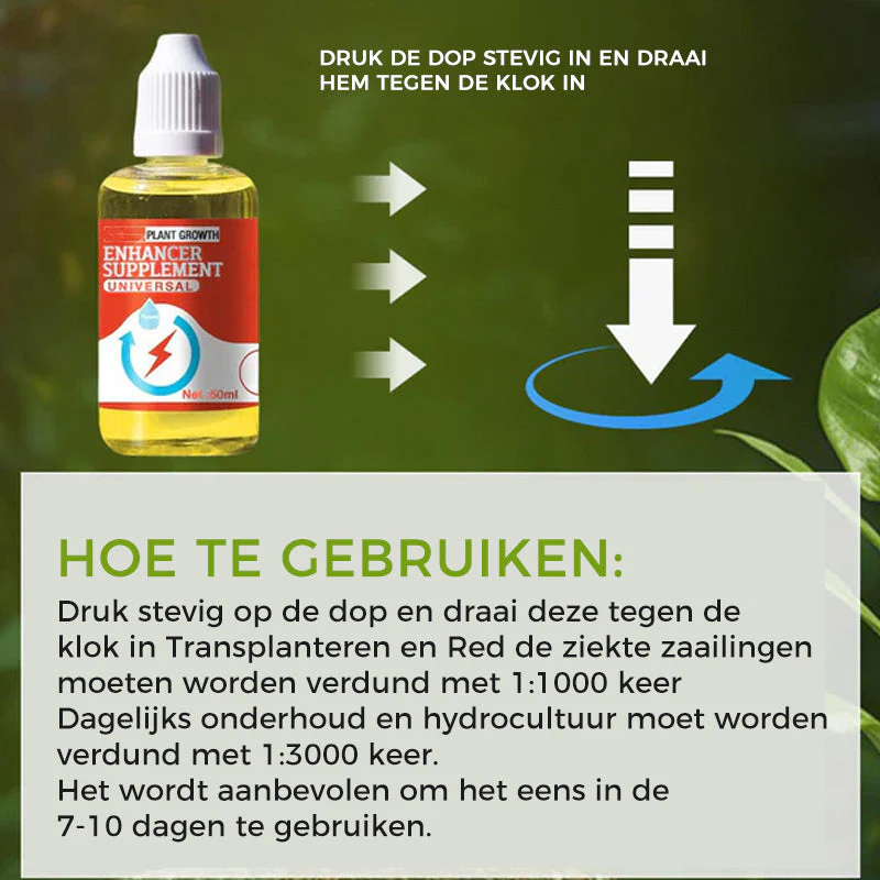 Productafbeelding 10