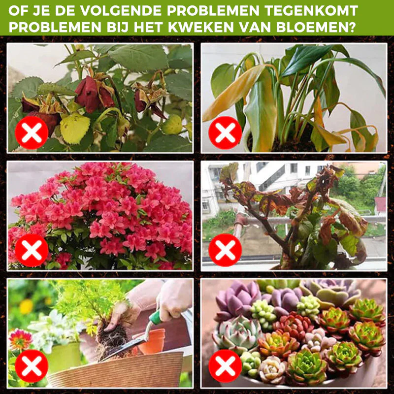 Productafbeelding 5