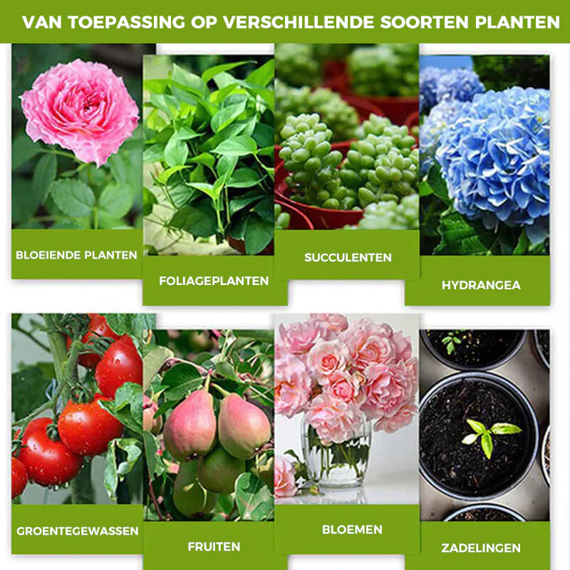 Productafbeelding 6