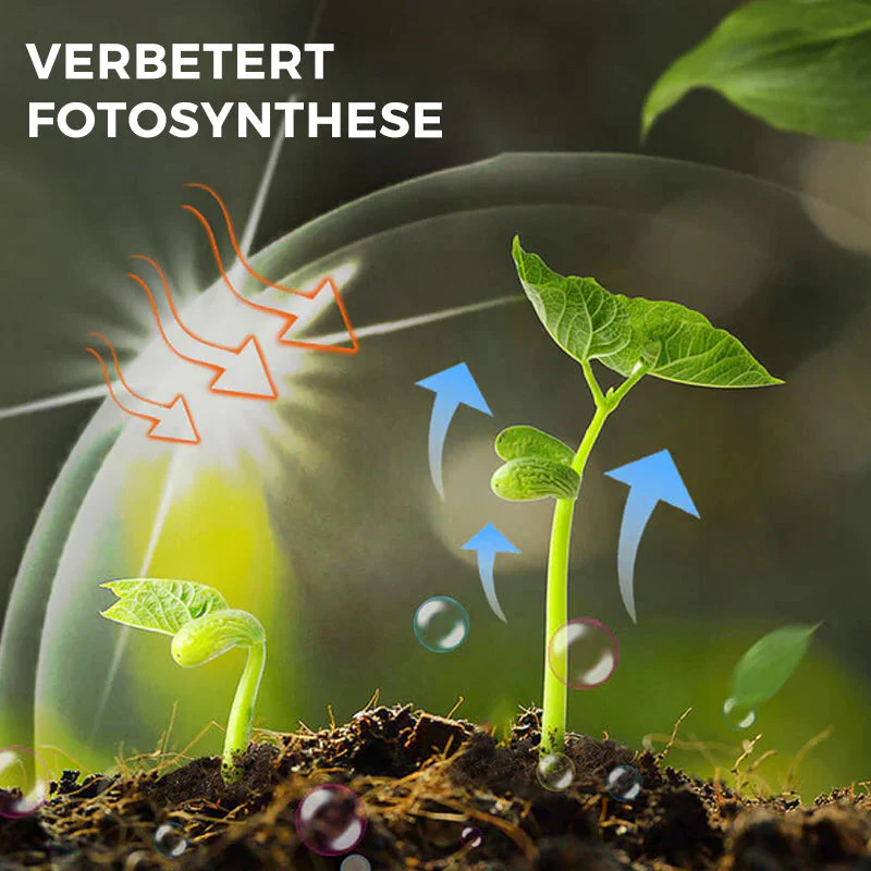 Productafbeelding 7