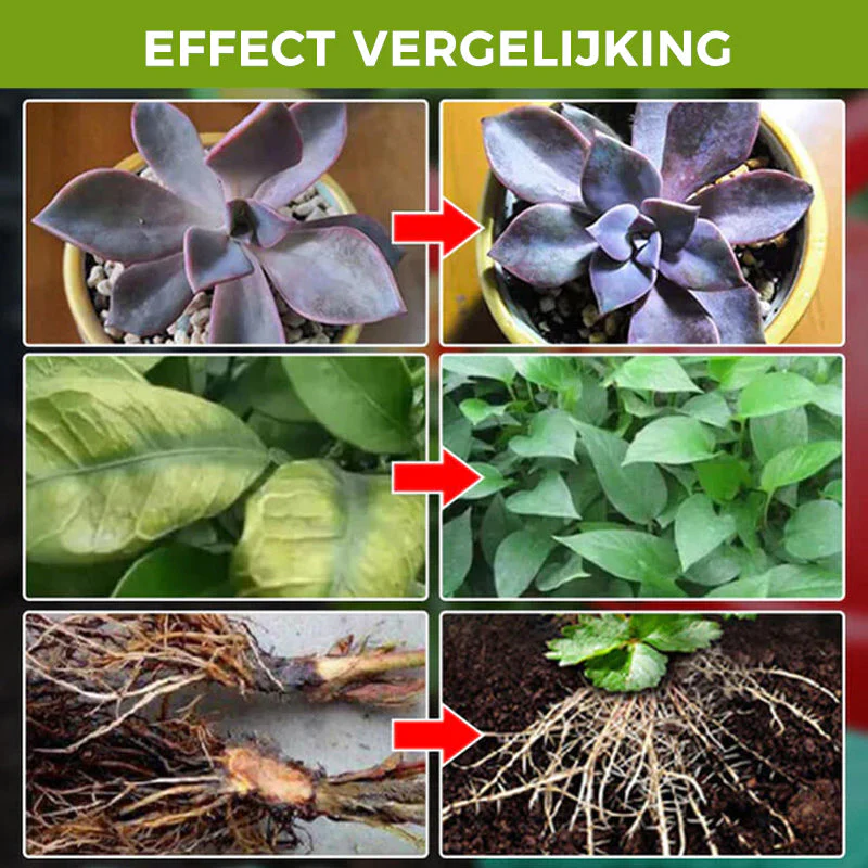 Productafbeelding 8