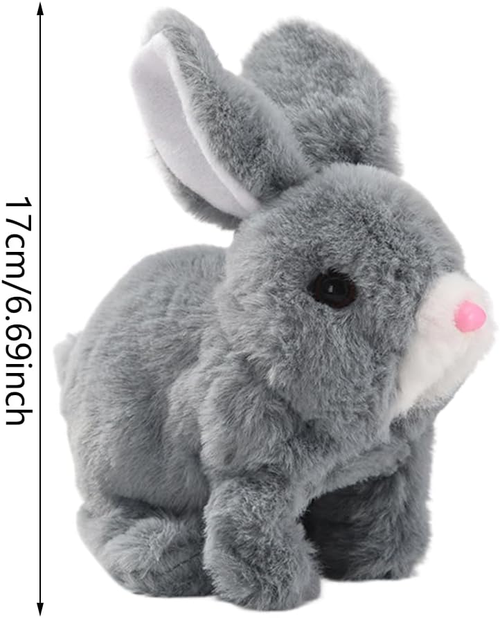 Productafbeelding 5