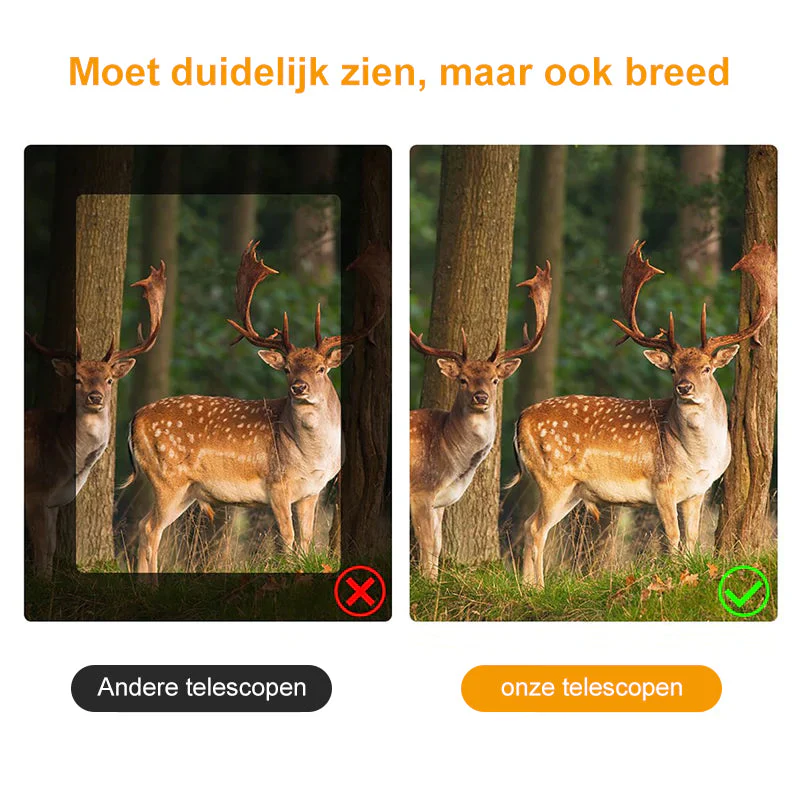 Productafbeelding 10