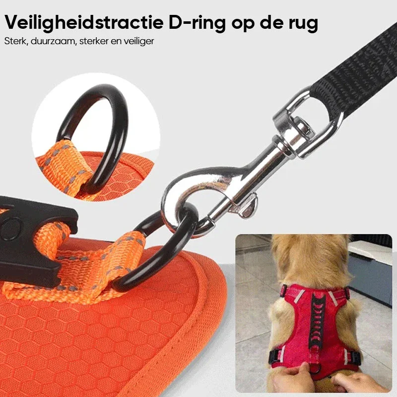 Productafbeelding 19