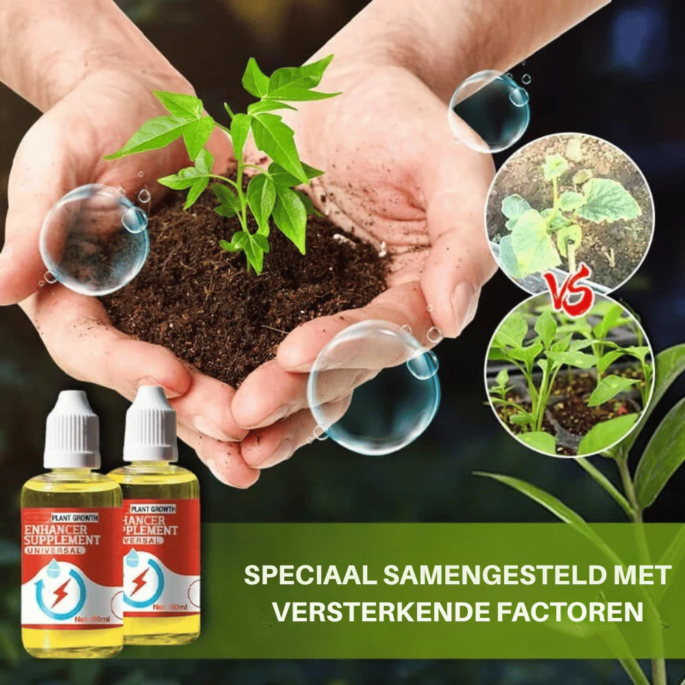Productafbeelding 5