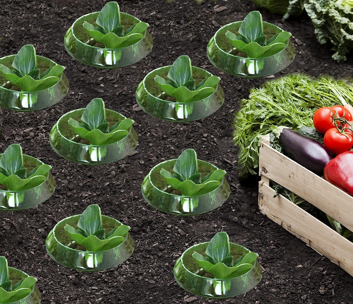 Productafbeelding 5