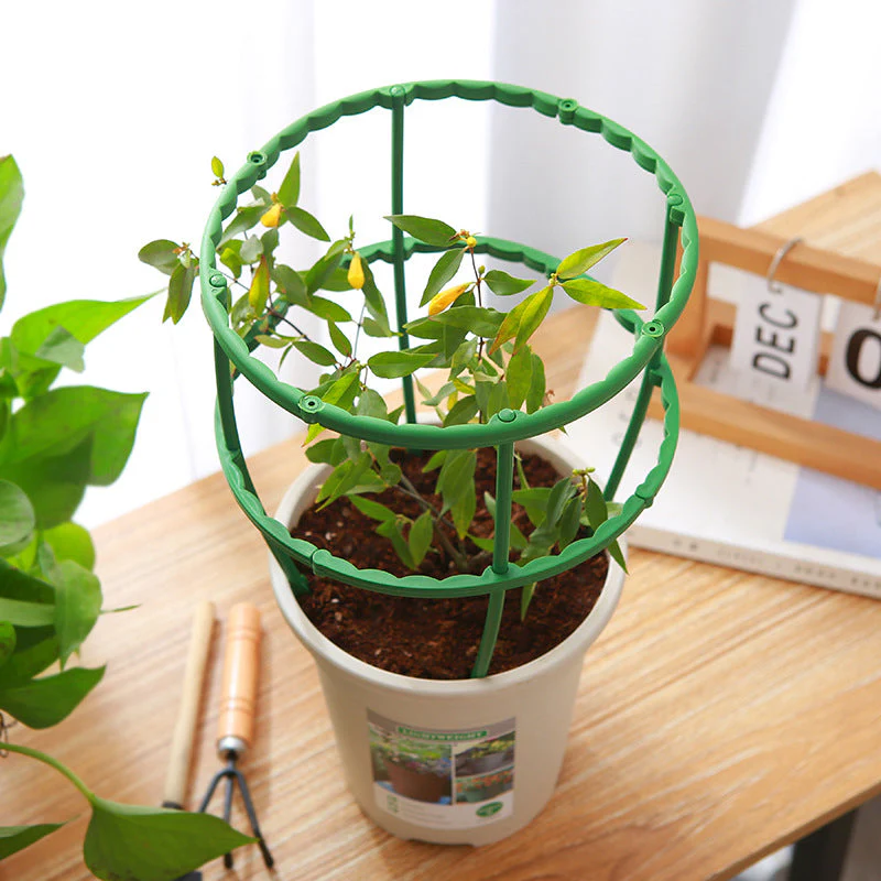 Miniatuur 1