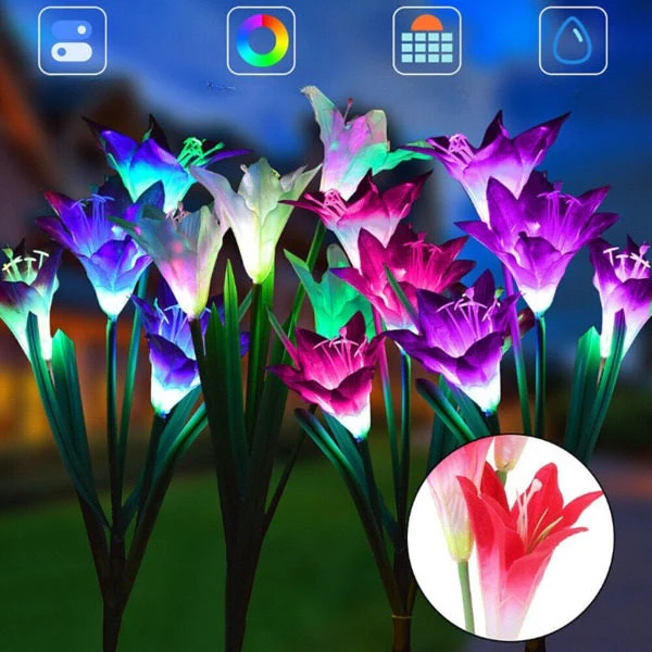 Productafbeelding 14