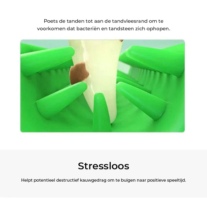 Productafbeelding 5