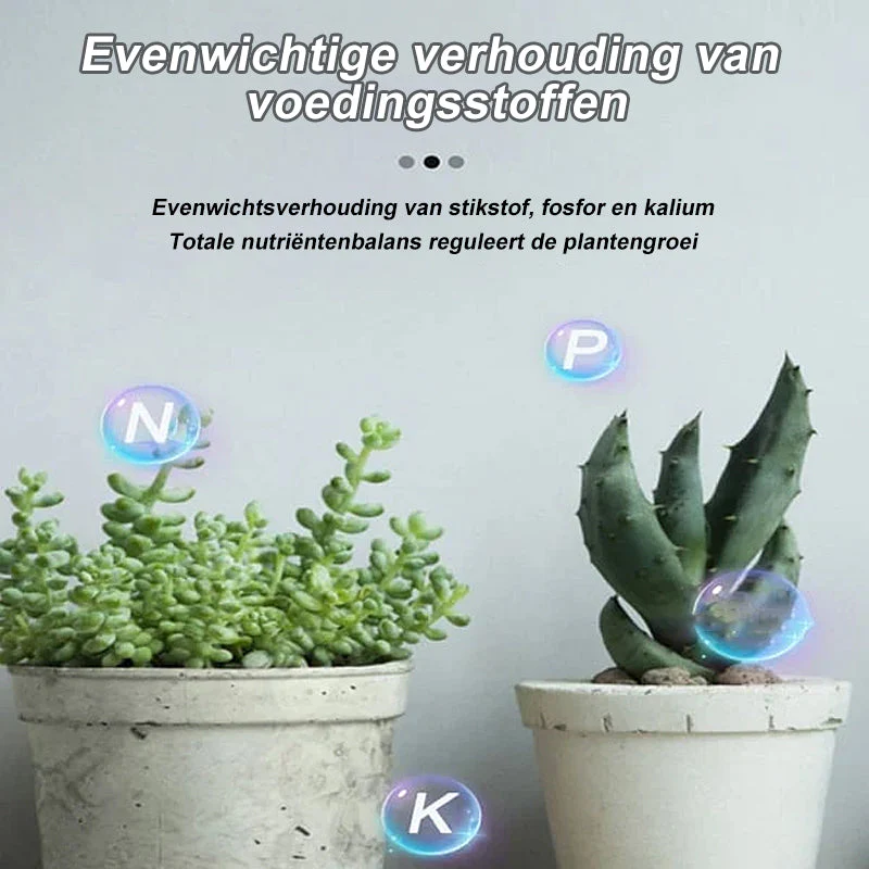 Productafbeelding 5