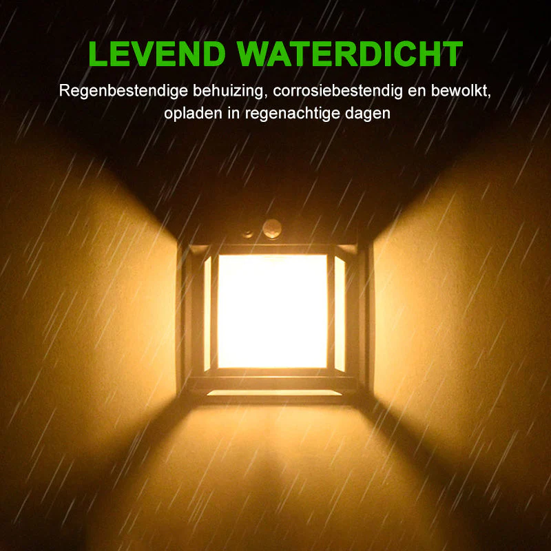 Productafbeelding 12