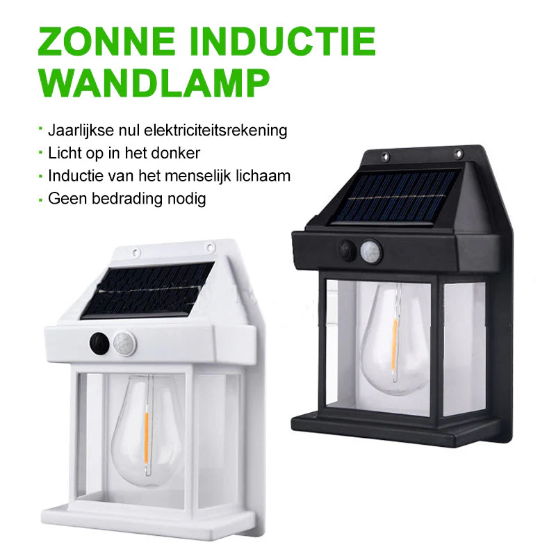 Productafbeelding 13