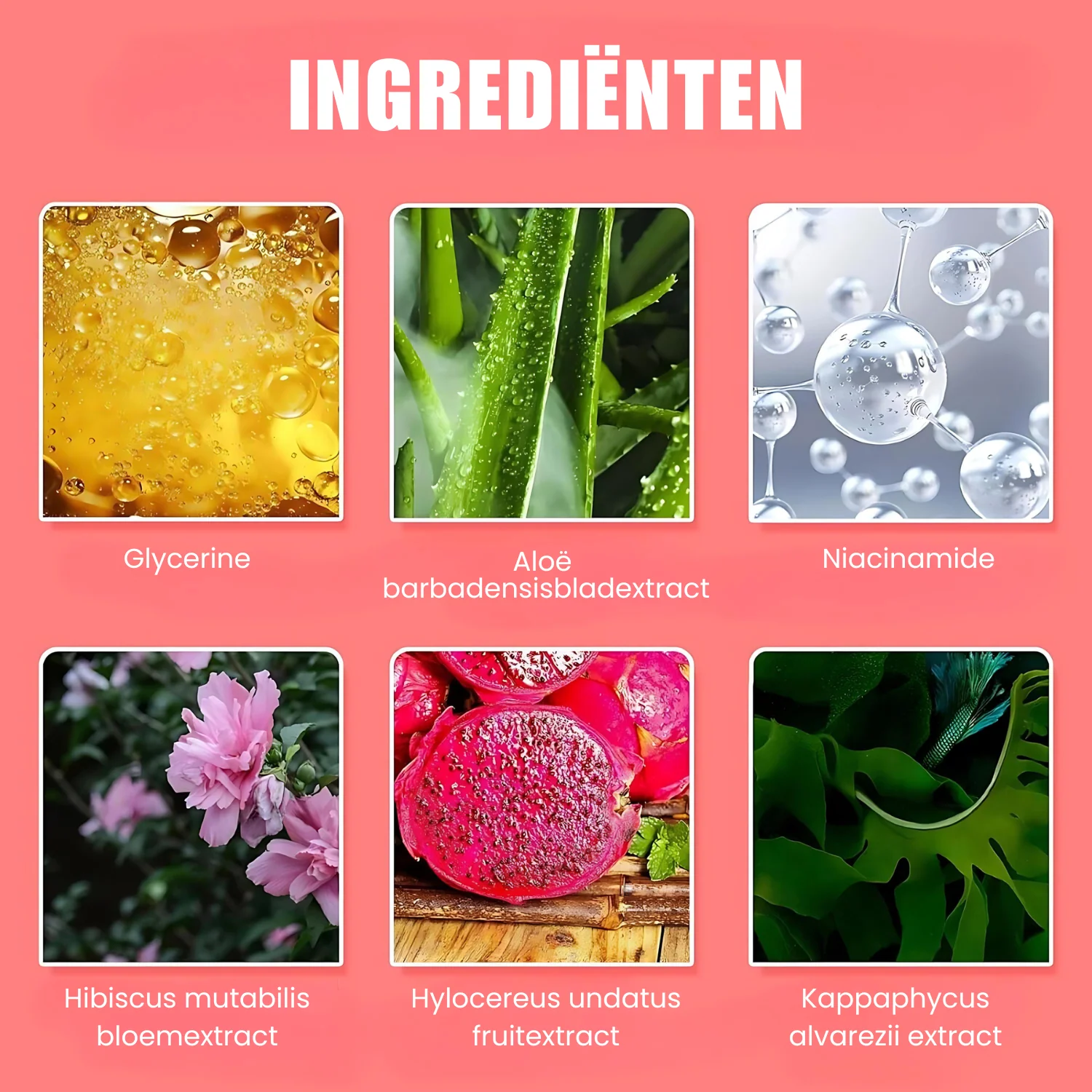 Productafbeelding 12